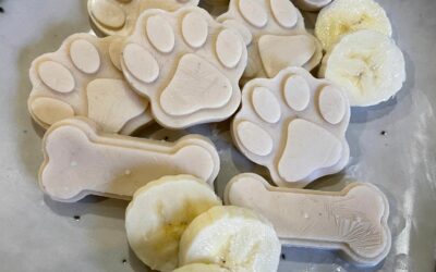 5 Recipes to Help You Create Your Own Dog Treats at Home