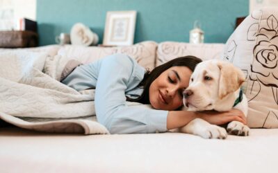 All We Need is Love, Connection, and a Calm Dog